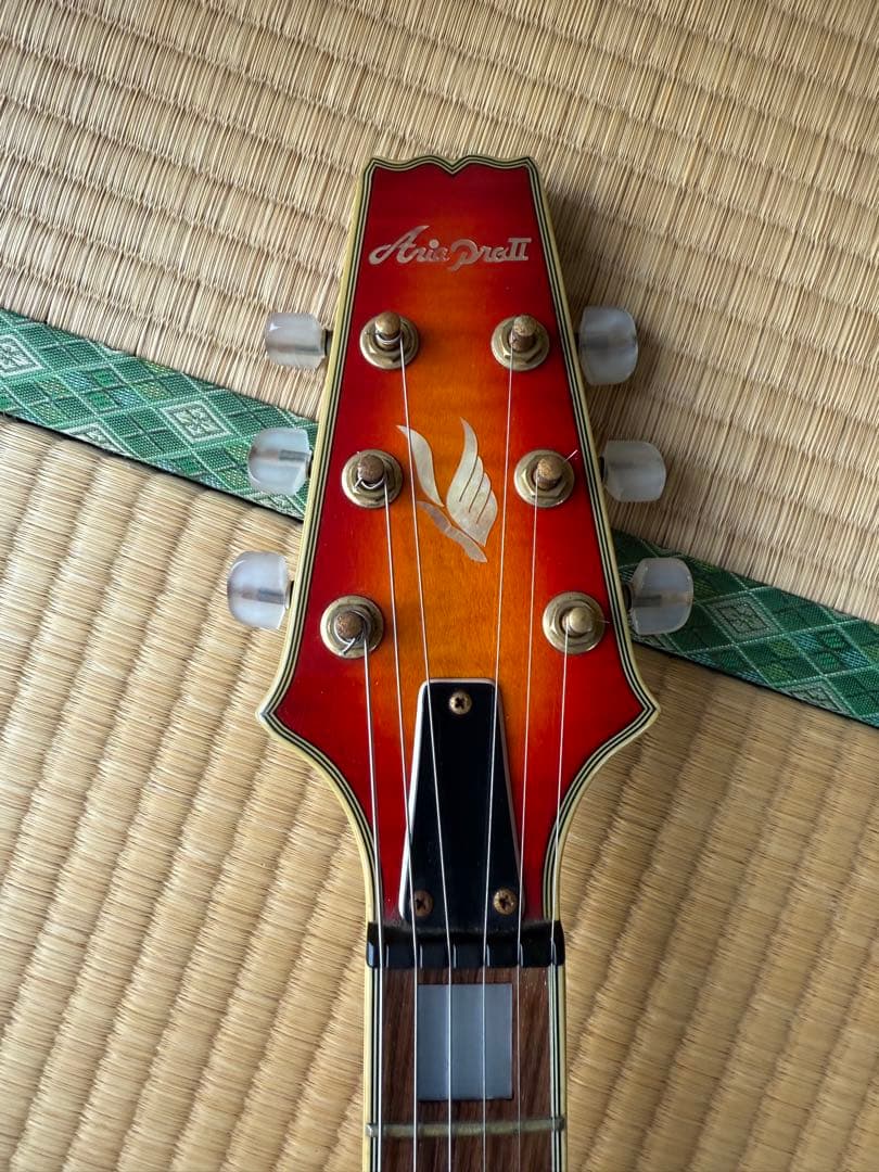 アリアプロ2 レスポールタイプ　3ハム