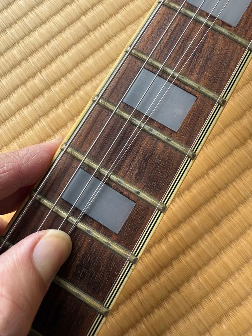 アリアプロ2 レスポールタイプ　3ハム