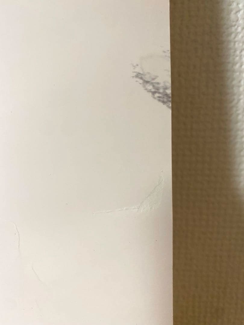 スタジオジブリ かぐや姫の物語 宣伝用非売品b1ポスター