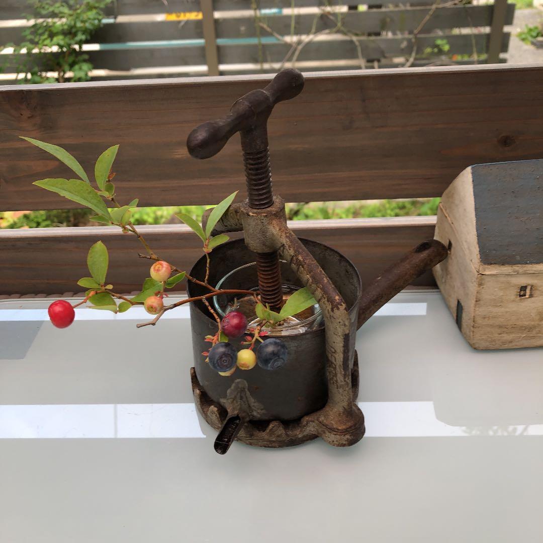 イギリスアンティーク☆オレンジ絞り☆卓上ジューサー