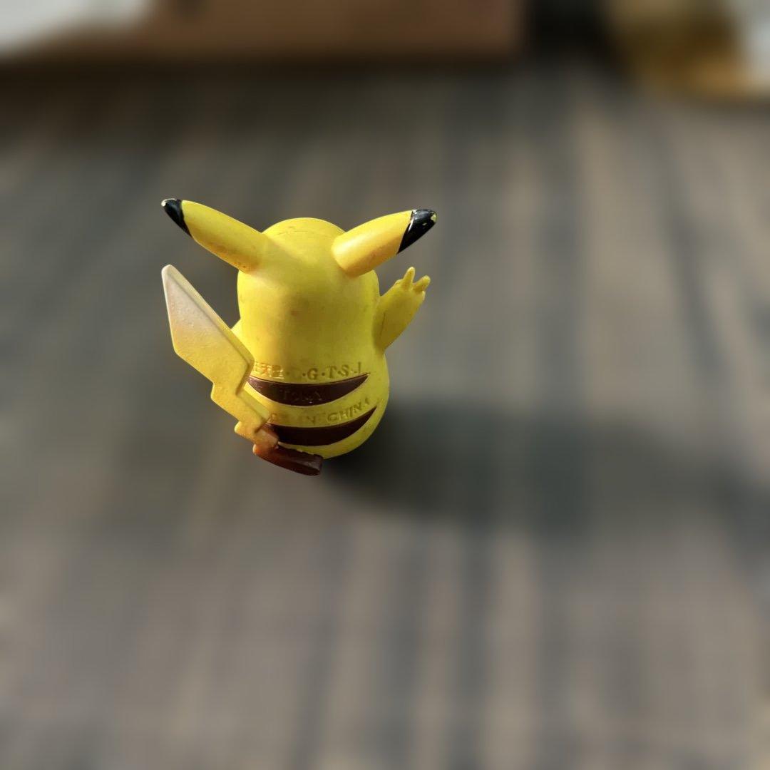 【新春最終1月19日倉庫一掃セール22時ピカチュウとリザードンのフィギュアセット