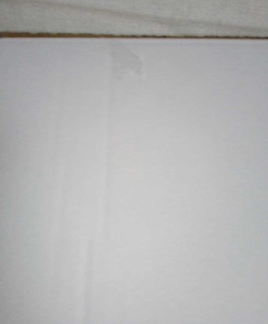 コウペンちゃん 複製原画 『夢の底へ』 原画展限定