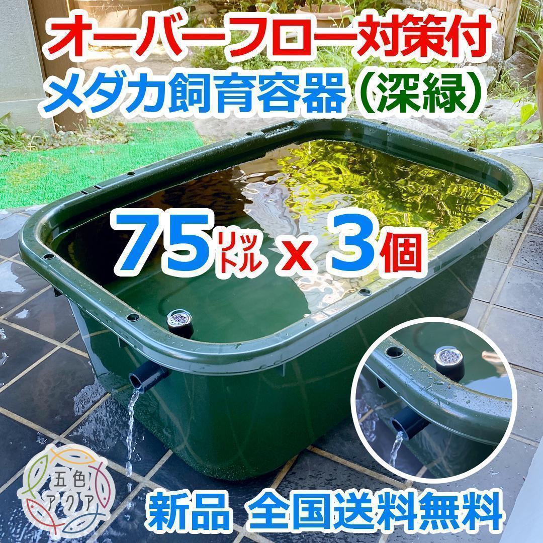 【新仕様】メダカ飼育ケース 75㍑深緑x3個 オーバーフロー対策済 金魚飼育容器