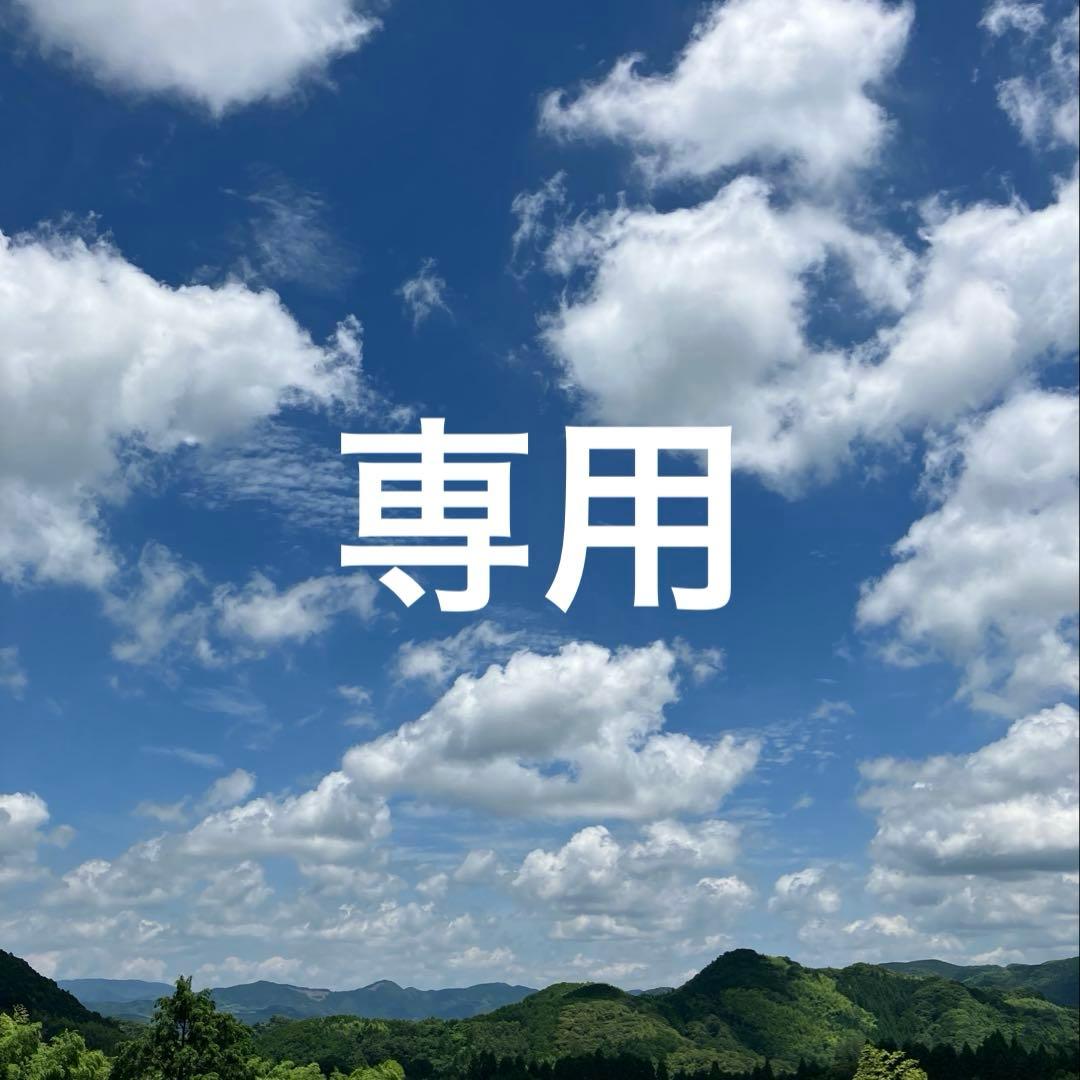 専用　ブレスレット5本　おまとめ