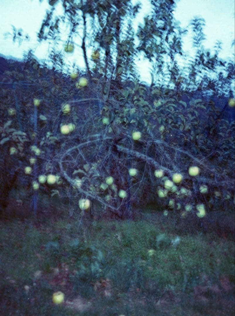 【極美品】FUJIFILM GA645 Pro 試撮り済み