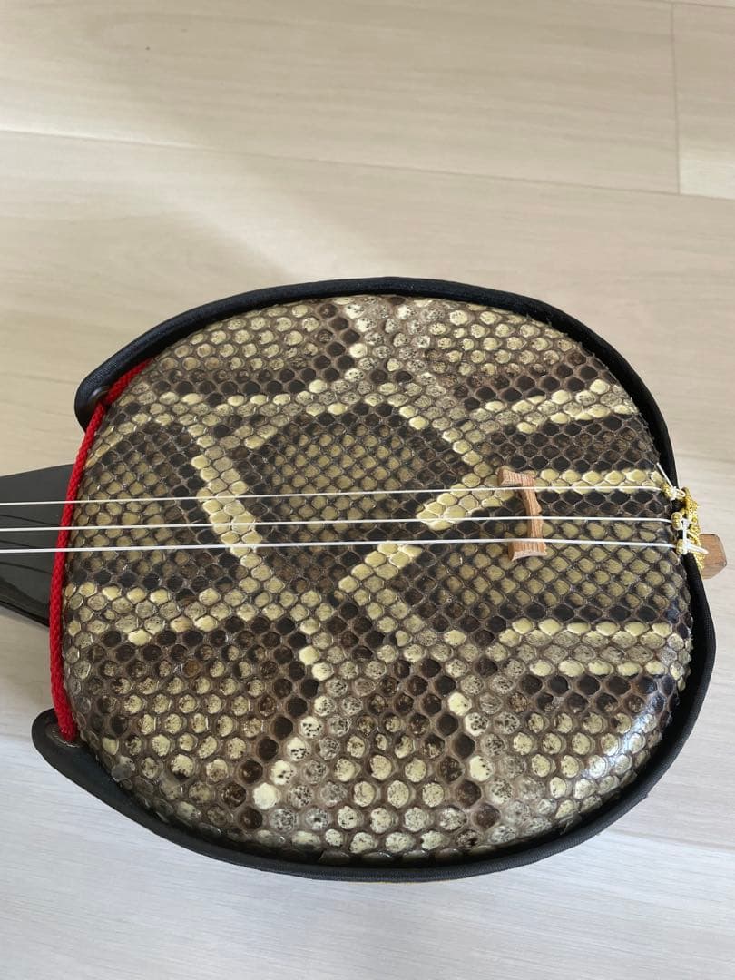 【本蛇革】三線&入門本2冊