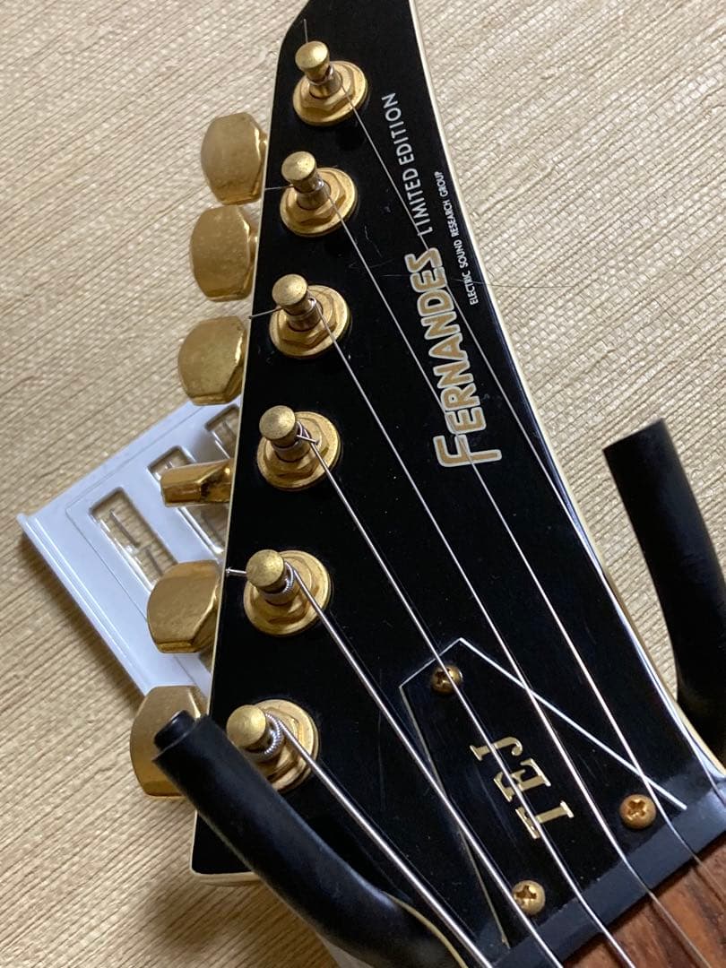 ギター Fernandes TEJ-55G