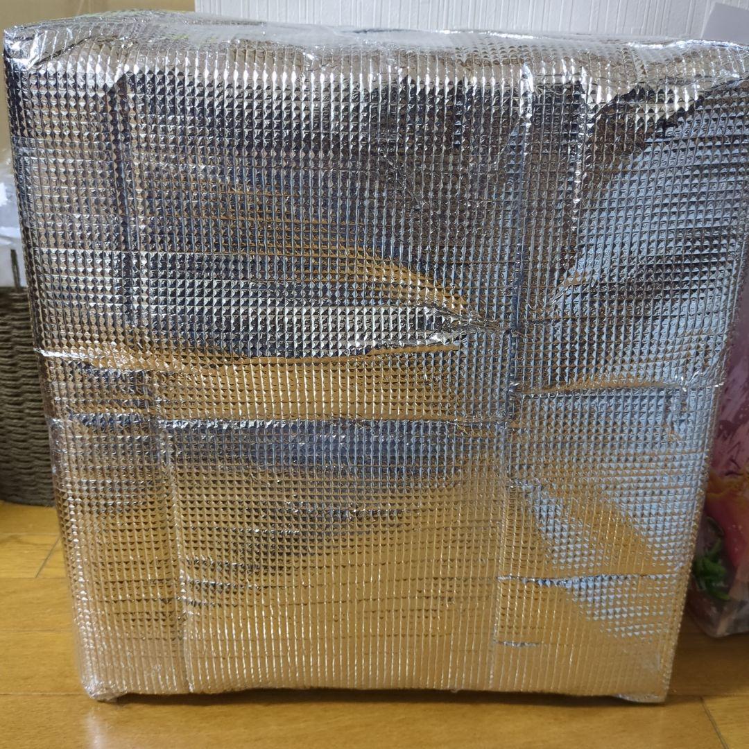 ベビーグルート　1/1　等身大　完売品　ビーストキングダム