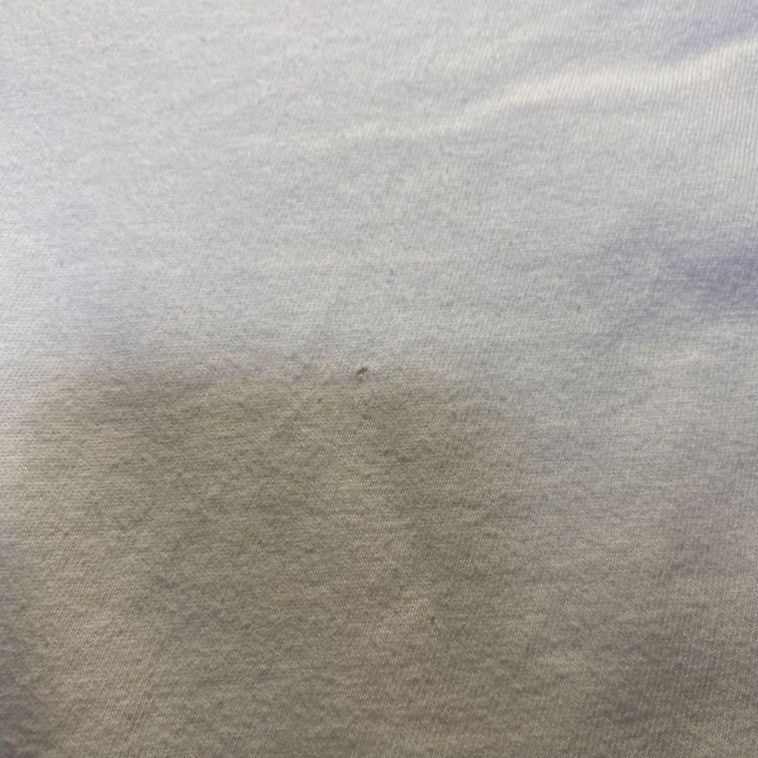 激レア 人気デザイン 90s らんま1/2 tシャツ ヴィンテージ Hanes