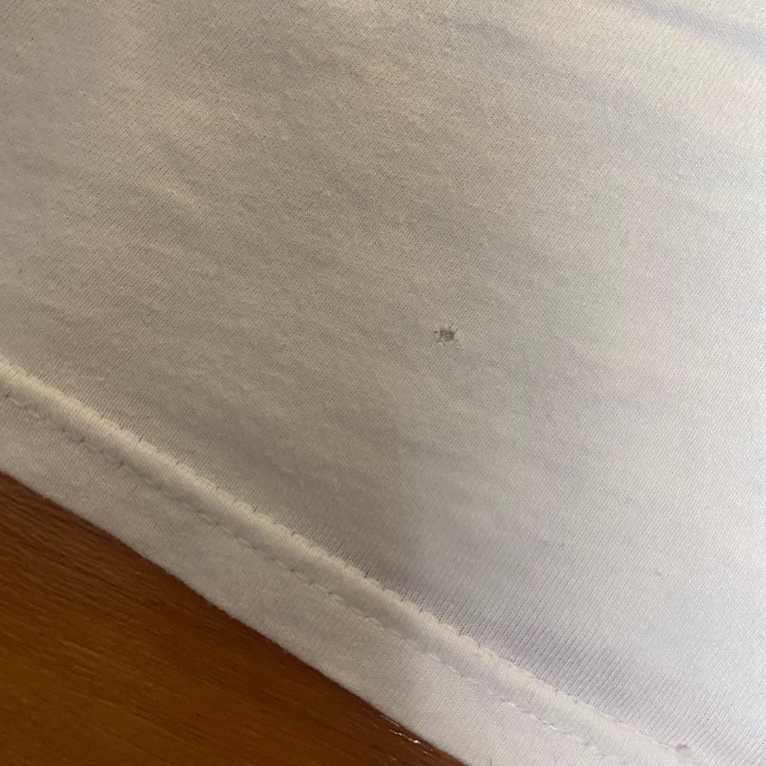 激レア 人気デザイン 90s らんま1/2 tシャツ ヴィンテージ Hanes