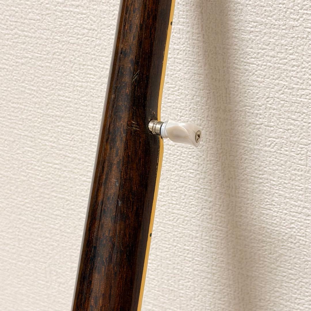 【良品✨】TENESY バンジョー　５弦　BANJO