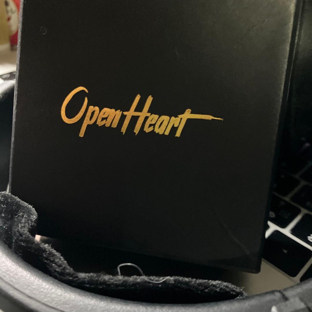 PRO 900 有線バランスヘッドホン リケーブル