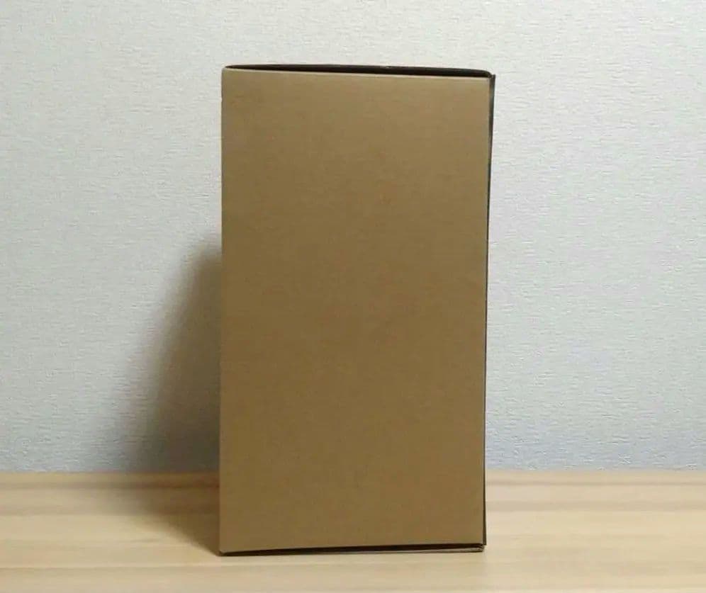 東宝大怪獣シリーズ ゴジラ GODZILLA(2021) 少年リック限定版