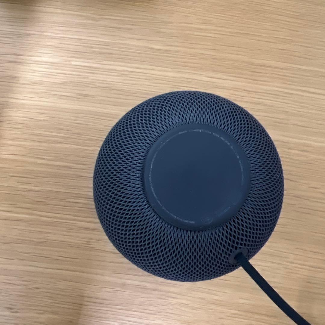 Apple Pod mini スペースグレイ 美品