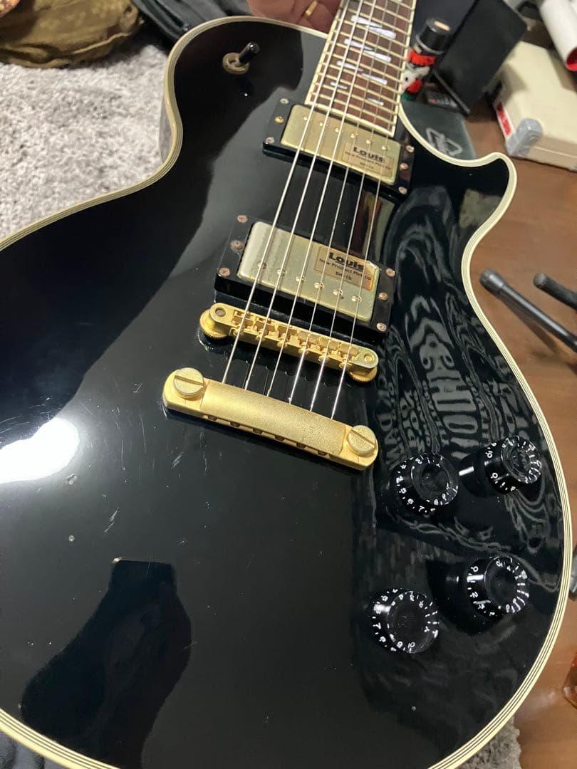 HISTORY DIGNITY レスポール エレキギター　ソフトケース付き