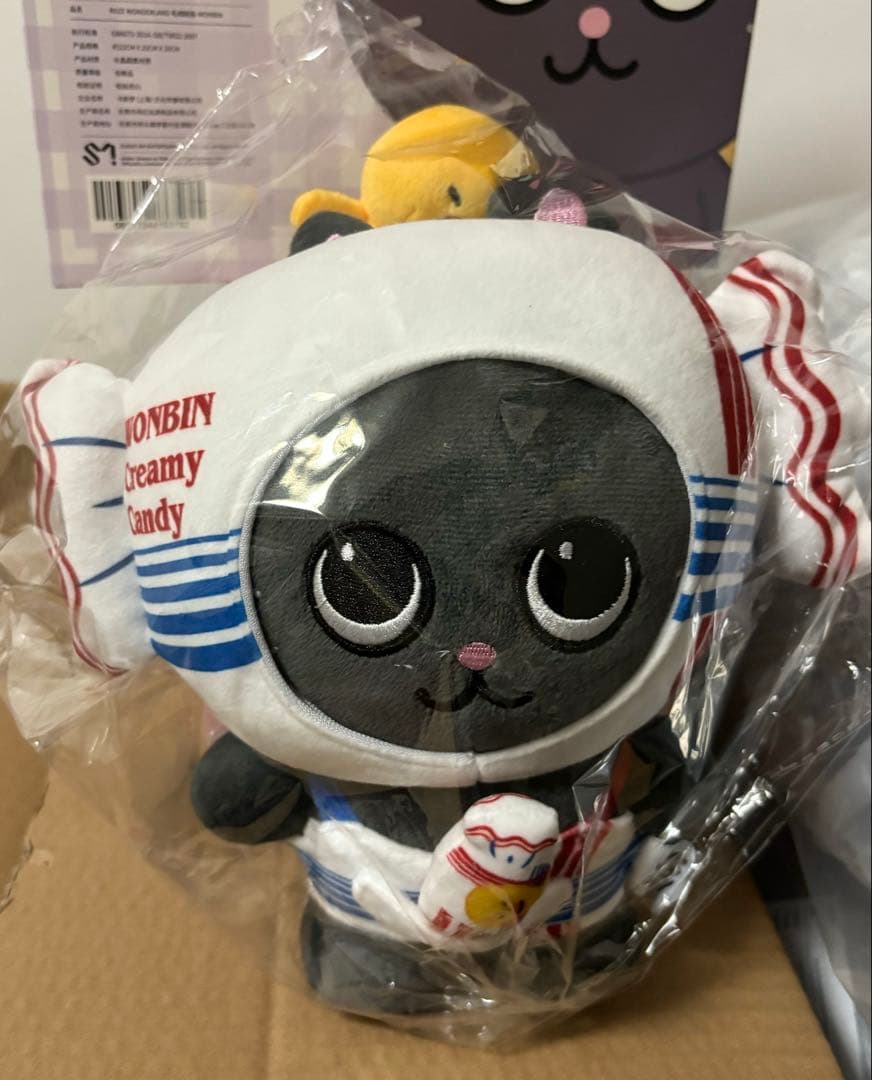 RIIZE wonbin ウォンビン バッグ 中国限定