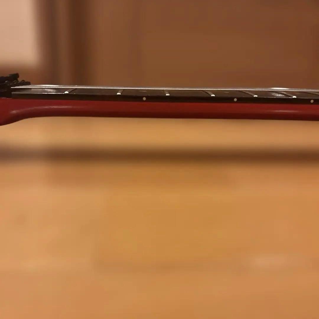 金ロゴ FERNANDES FR-55 アクティブ トレモロアーム・ケース付