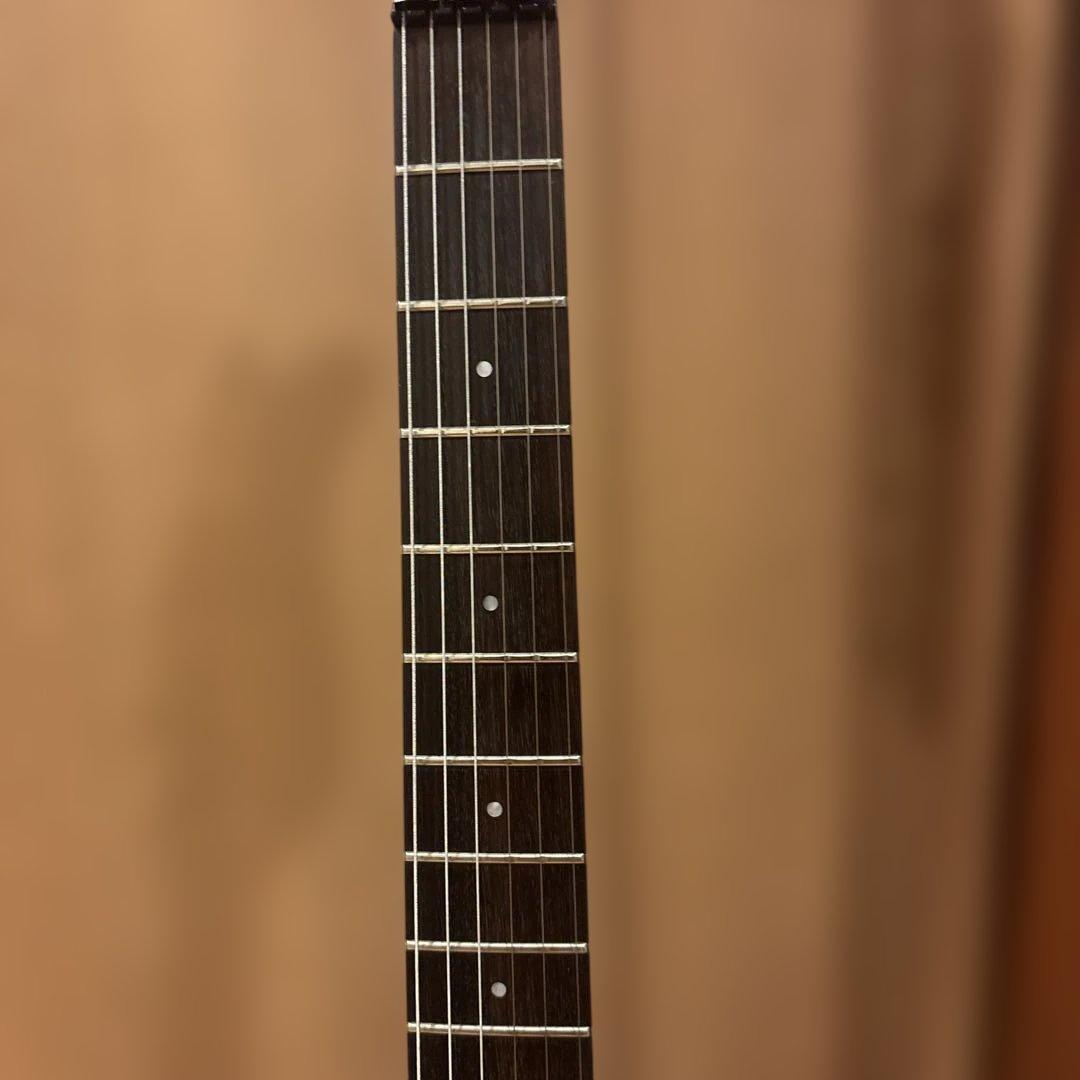 金ロゴ FERNANDES FR-55 アクティブ トレモロアーム・ケース付