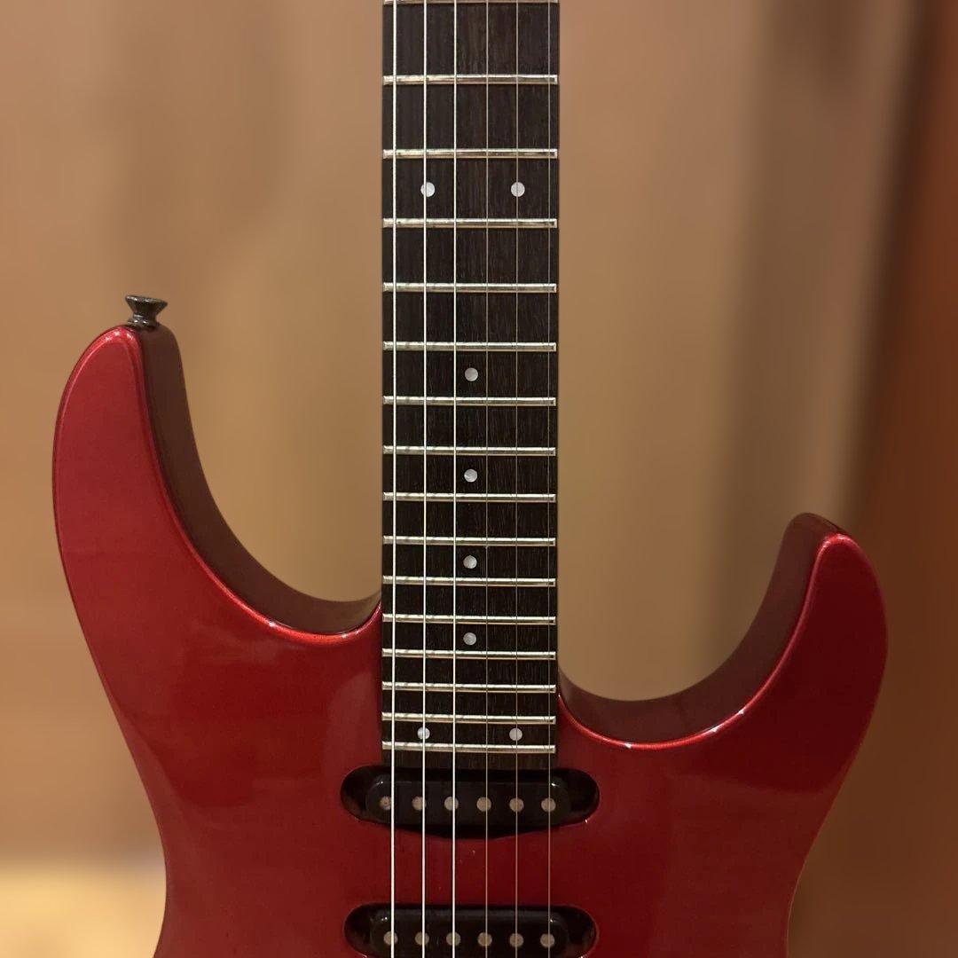 金ロゴ FERNANDES FR-55 アクティブ トレモロアーム・ケース付