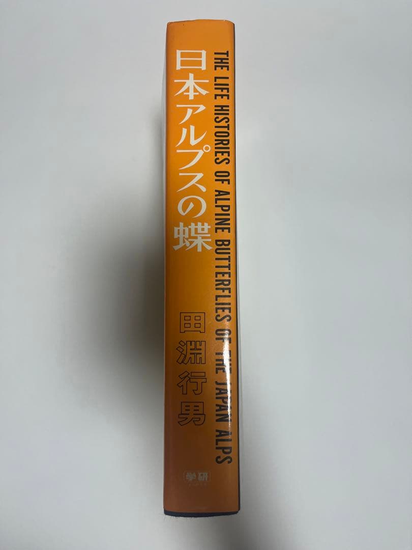日本アルプスの蝶