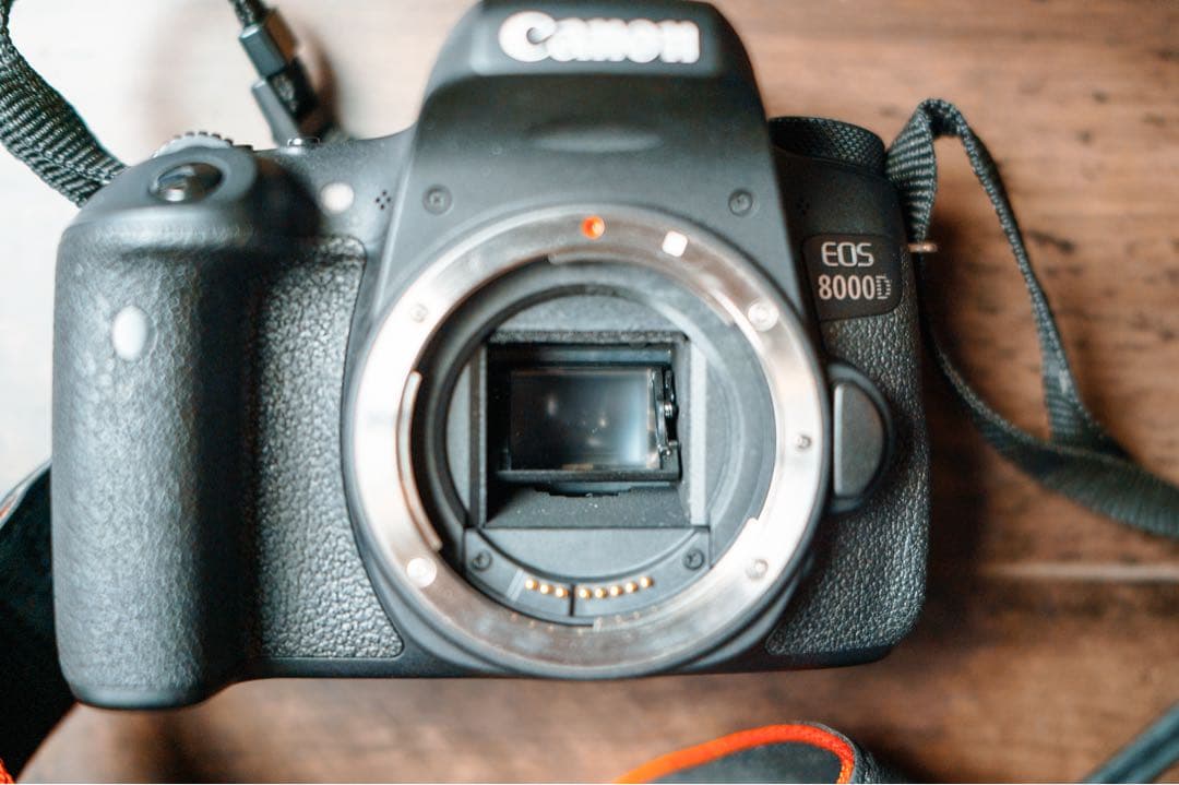 コンニチハ‼️canon 8000D＋zoom lens18-55