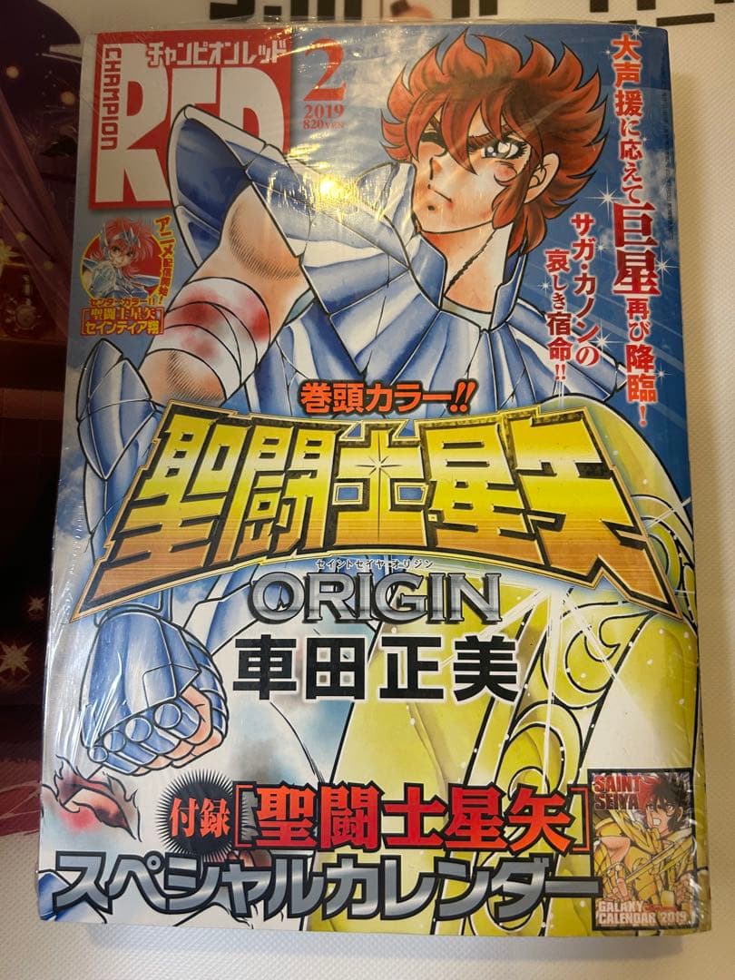 チャンピオンRED 2019年2月号　聖闘士星矢　セインティア翔　未開封　特典