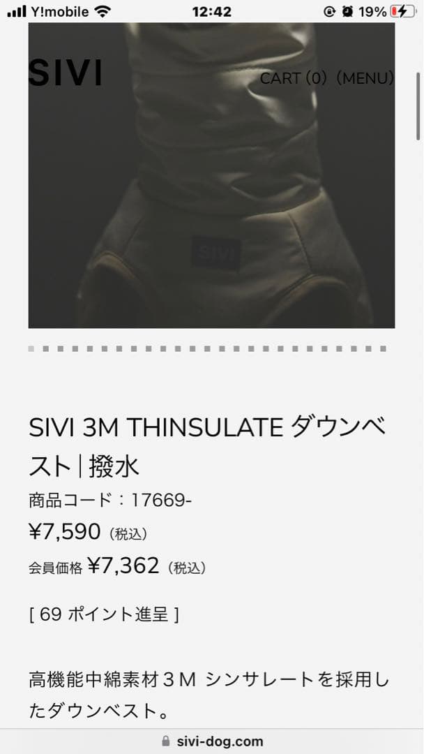 レイスル SIVI ウィンタースーツ 、ベスト　Lsizeセット⭐︎