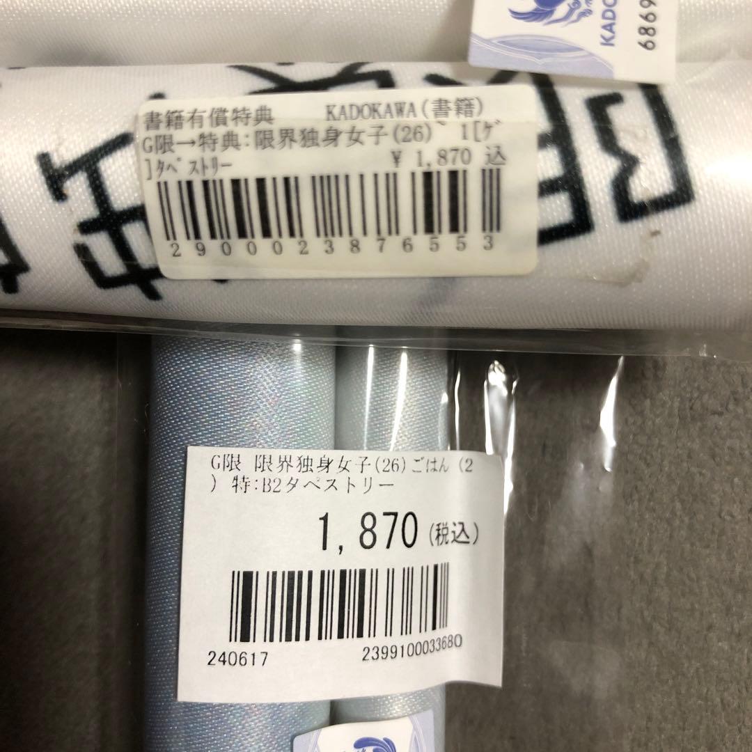 限界独身女子(26)ごはん ゲーマーズ有償特典 B2タペストリー2枚セット 新品