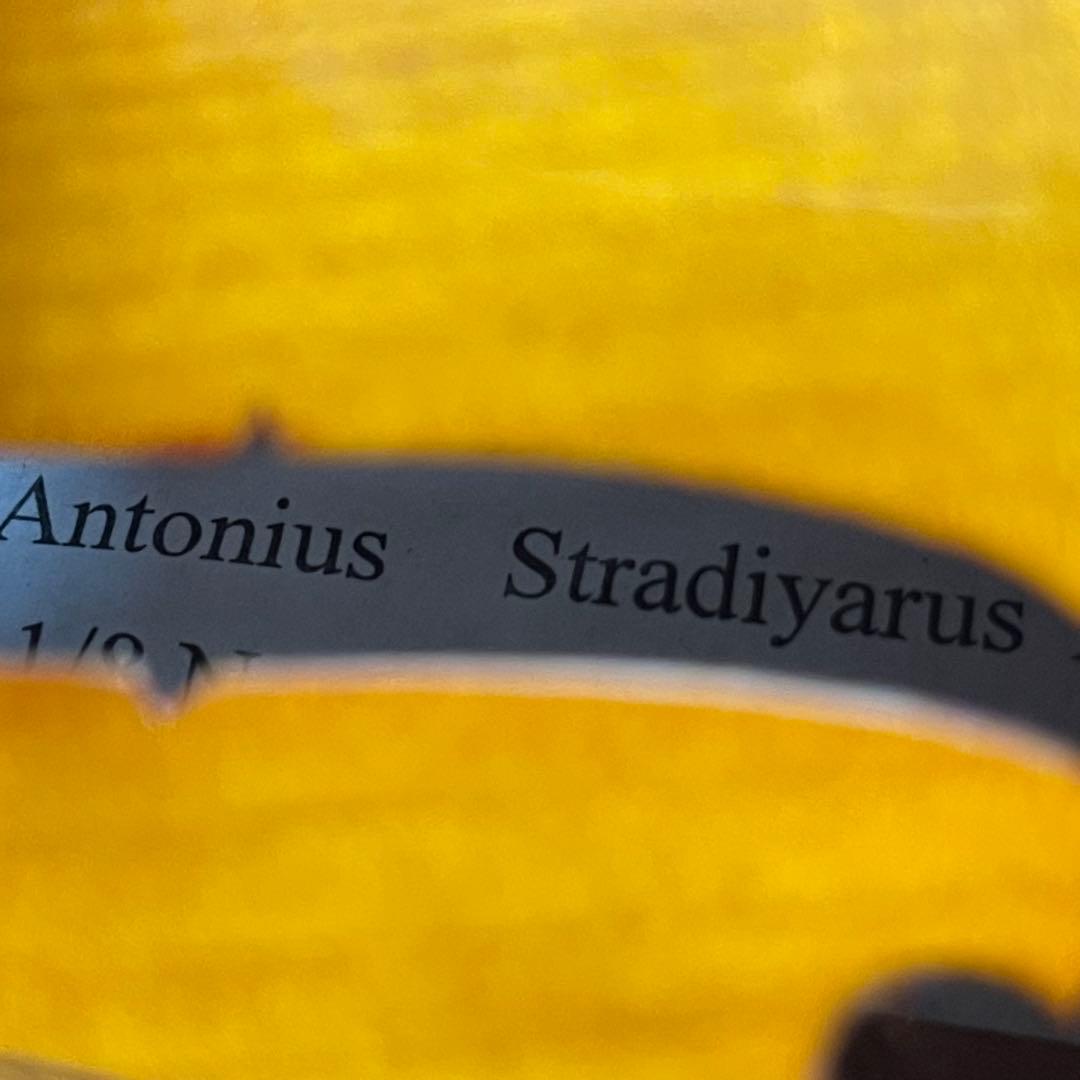 NAKAU ナカウ　バイオリン1/8 子供用　ケース付き　動作確認済