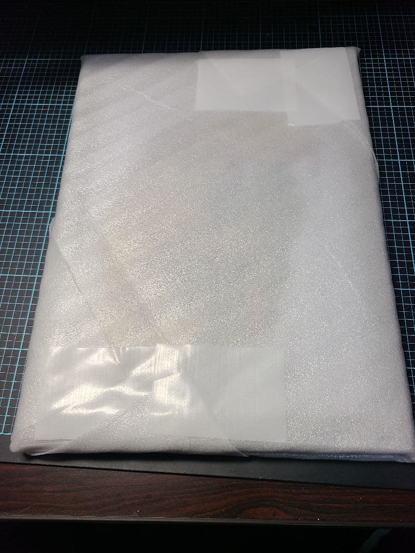 【クレステッドゲッコー】自作　額縁入り　B5