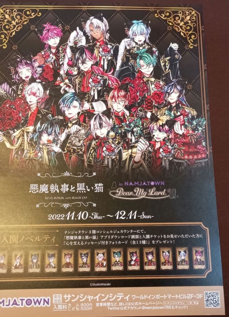 あくねこ ベリアン パシャこれ