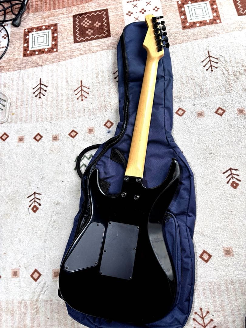 メンテナンス済み美品！　フェルナンデス　FR55