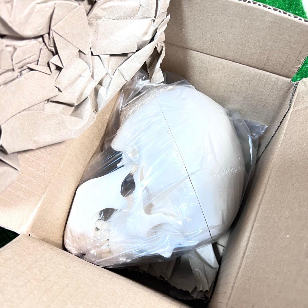 未使用品　人体模型 人体骨格モデルA10 3B SmartAnatomy