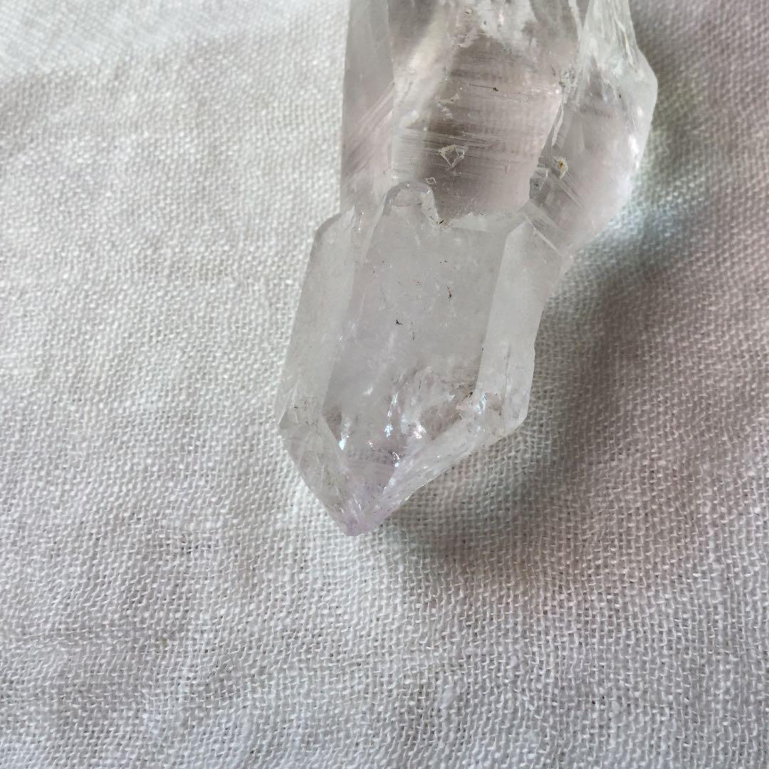 ヒマラヤンセプターエレスチャル