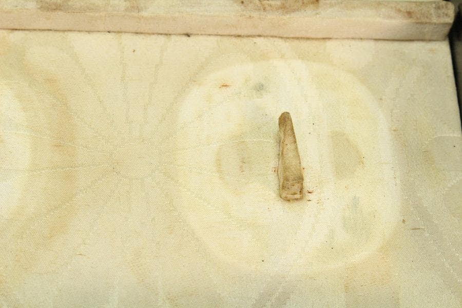 螺鈿 三つ葉葵 徳川紋 鍔 箱(K-LC769)