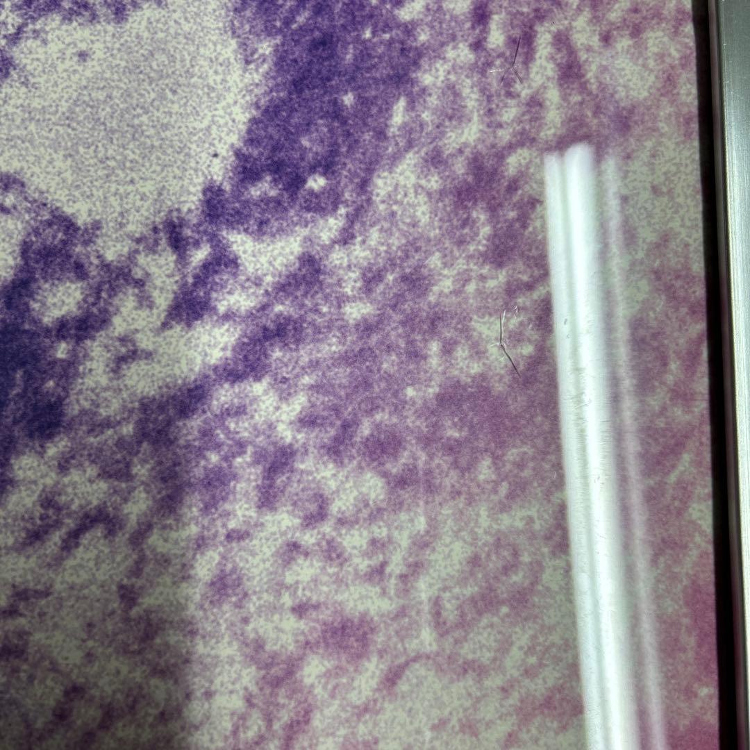 Mr.Children macro ポスター　額なし　B2