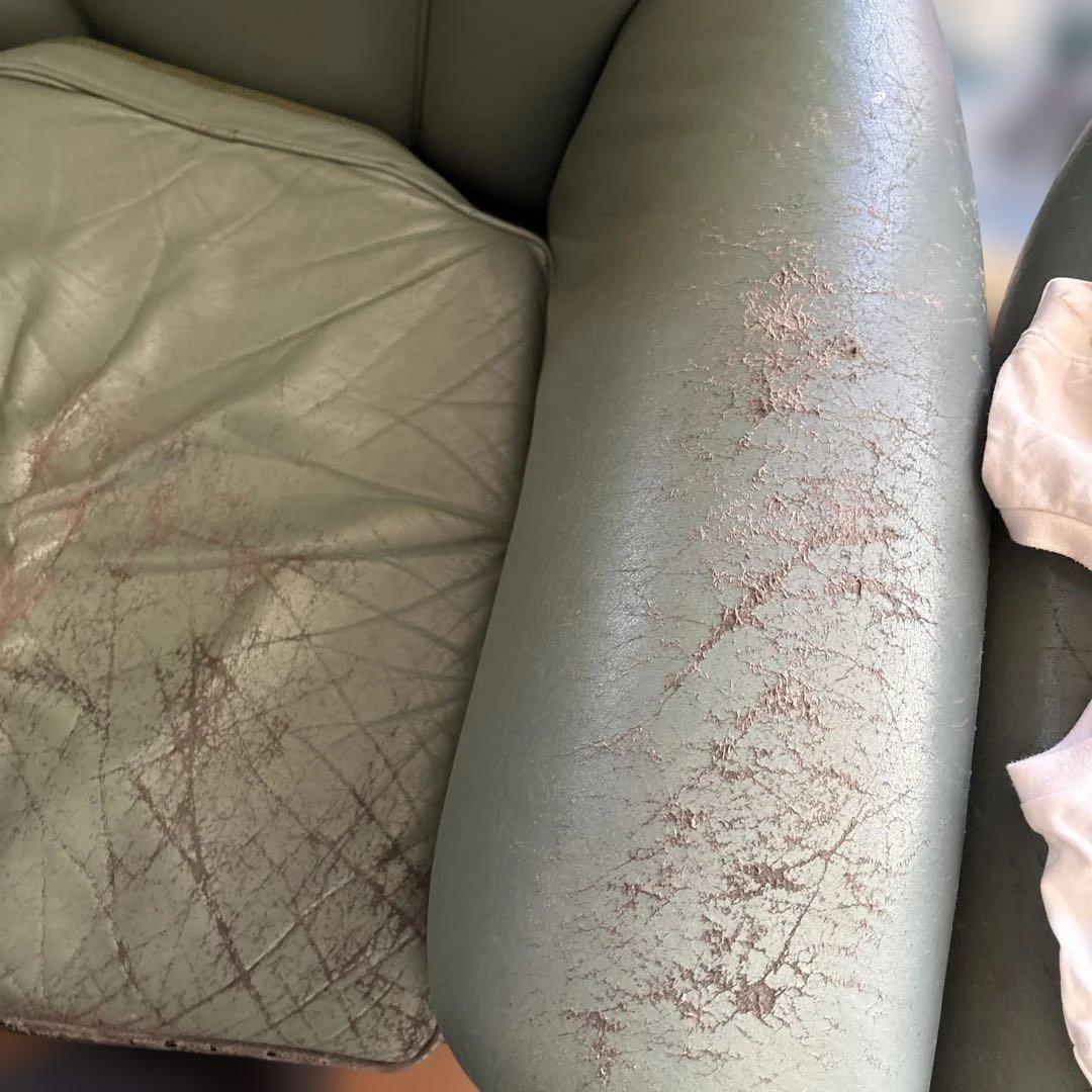 クラシックスタイル レザーソファ 淡い緑色