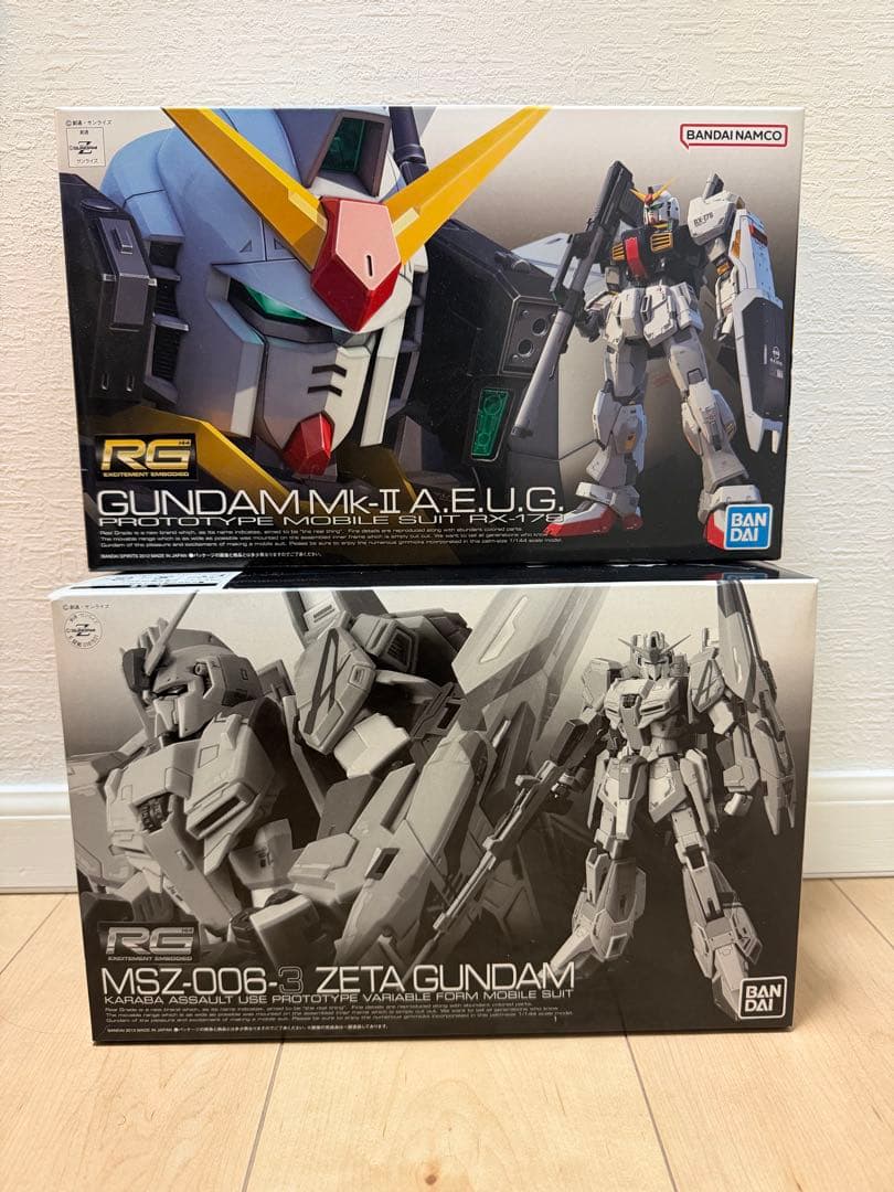 本日限定　RGガンプラ2体セット