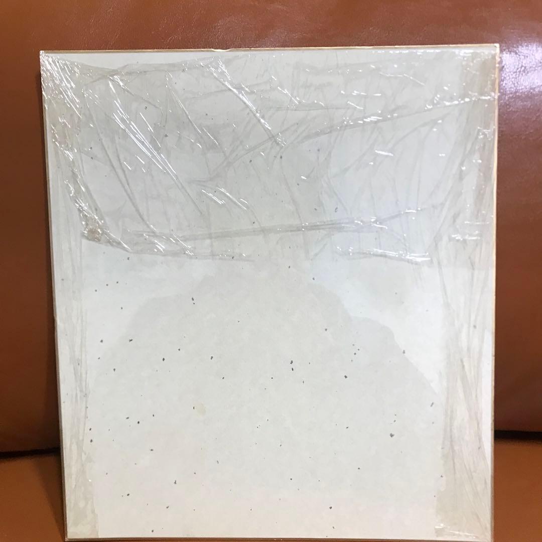 松本零士 サイン色紙 銀河鉄道999 メーテル