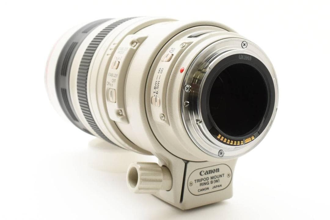 高性能望遠 キャノン EF 100-400mm F4.5-5.6L IS USM