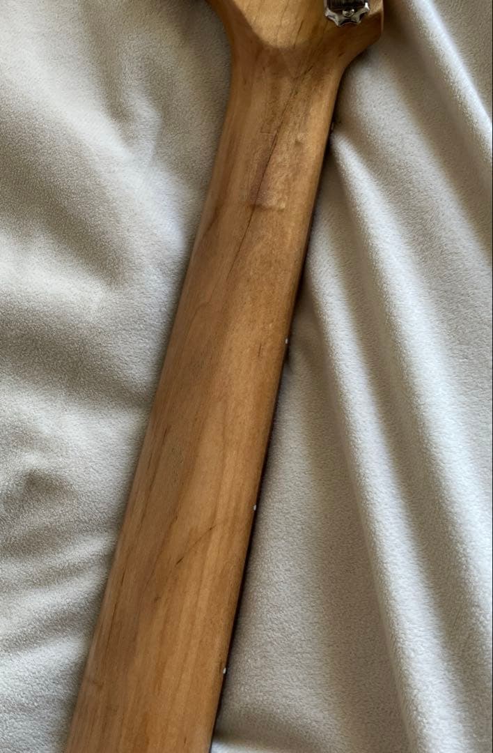 コンポーネントギター　ライトレリック