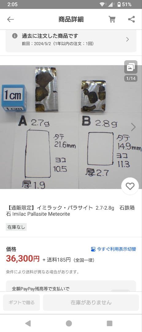 イミラック隕石　イミラック　隕石　パラサイト