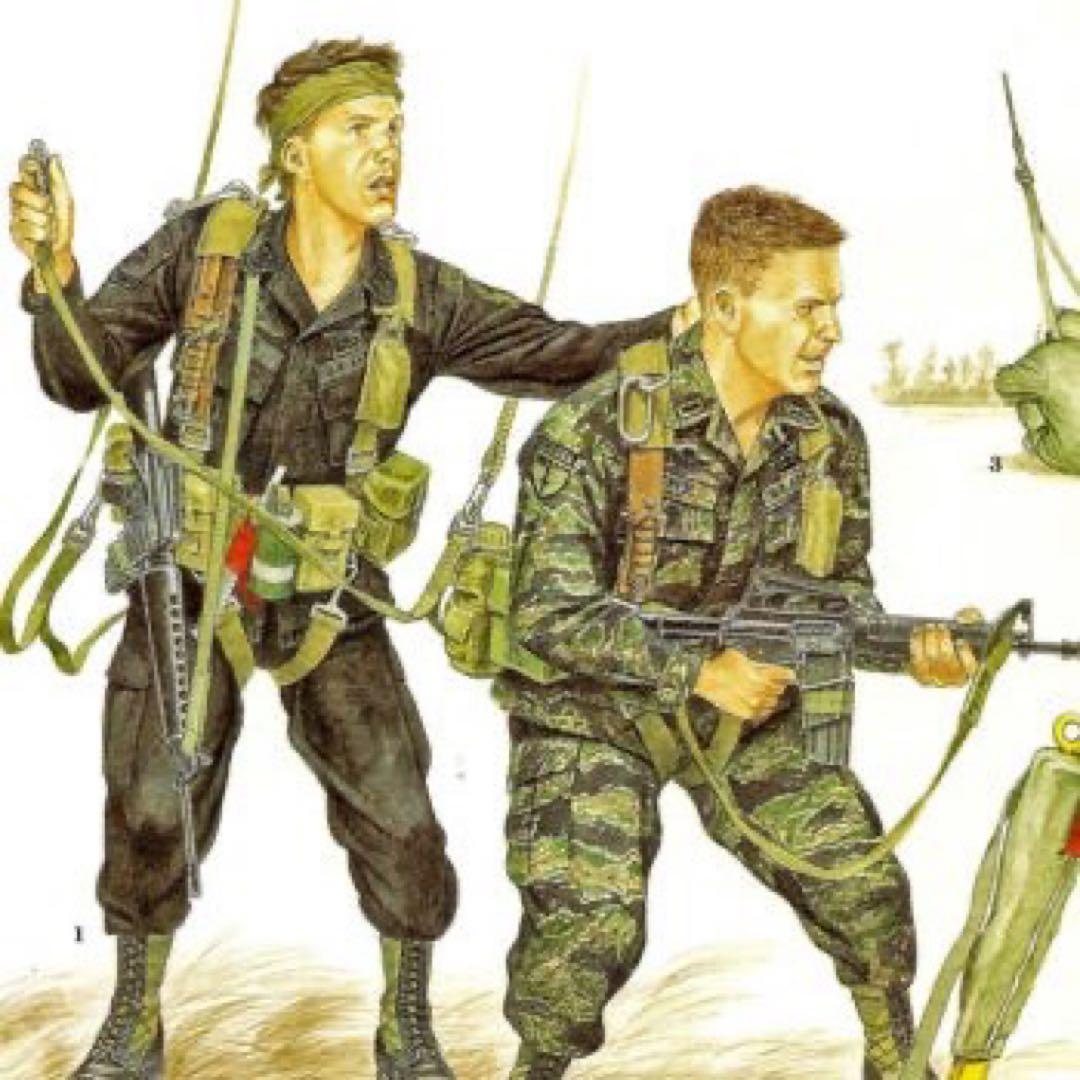 希少！実物！　STABO（スターボ）ハーネス　実物 ベトナム戦争　特殊部隊