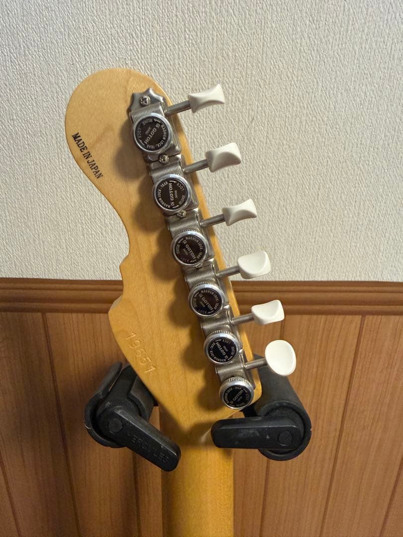 Momose MT2-STD/M BBD MOD テレキャスター MG-T