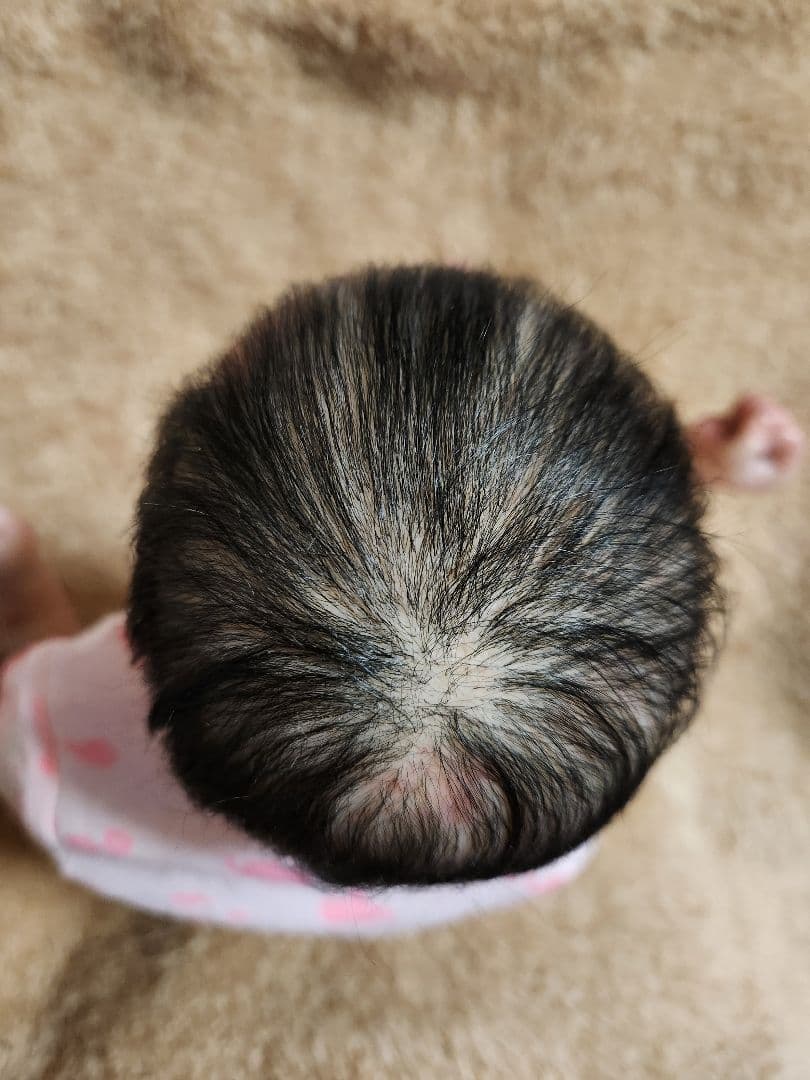 リボーンドール　プリーミーベビー　未熟児赤ちゃん　創作人形　アートドール