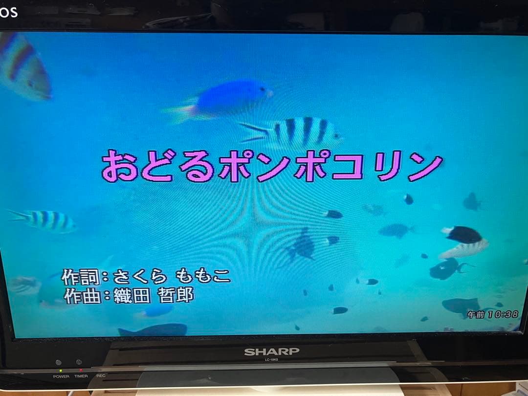 ON STAGE お家カラオケ本体とペアマイクセット