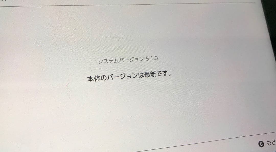 Nintendo Switch Joy-Con (L) / (R) グレー