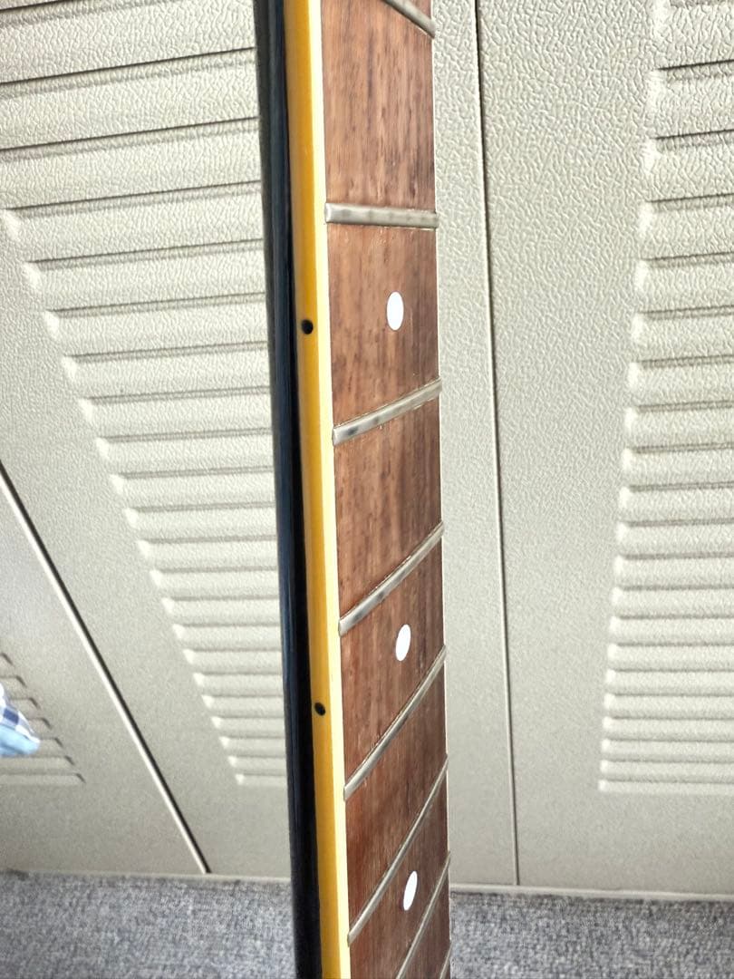 FERNANDES TEJ-75　白文字F.G.I