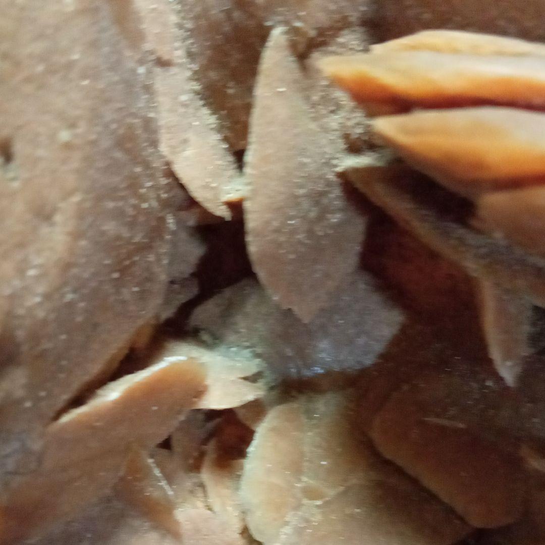 サハラのバラ　サハラ砂漠　化石