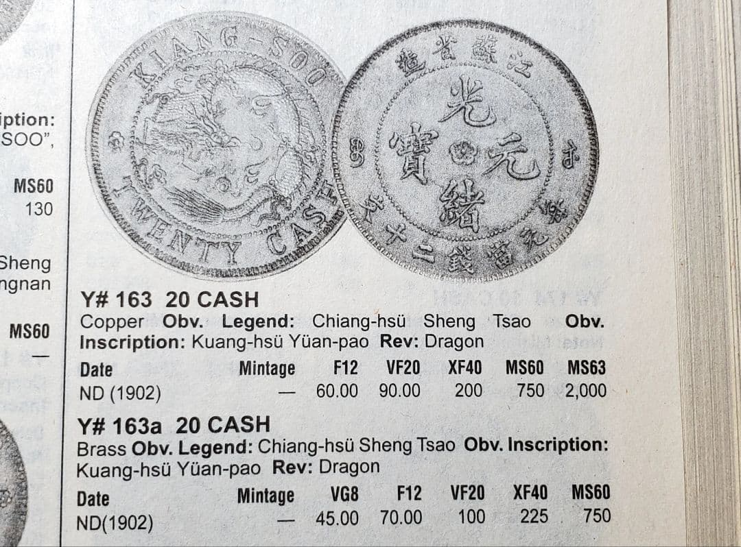 専用品　古銭　中国　光緒元宝　20文　江蘇省　銅貨　　外国　海外　旧硬貨